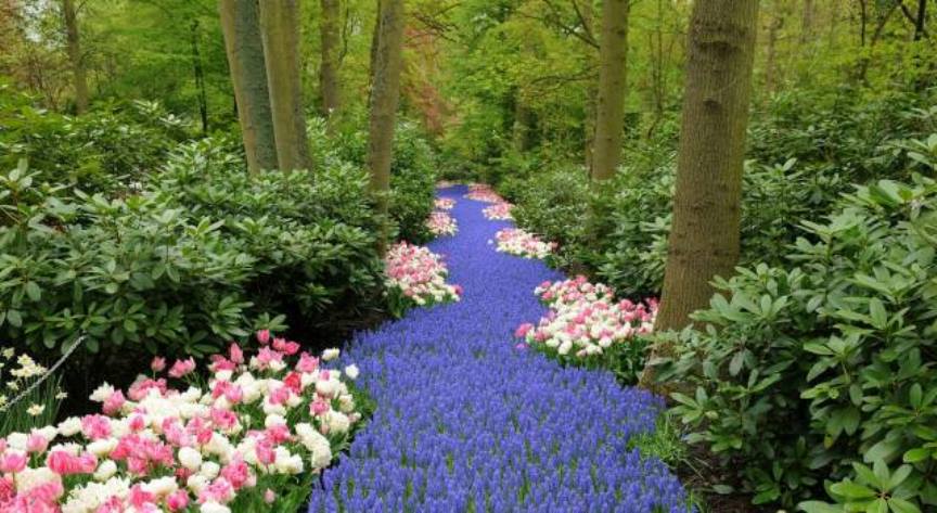 Озеленение