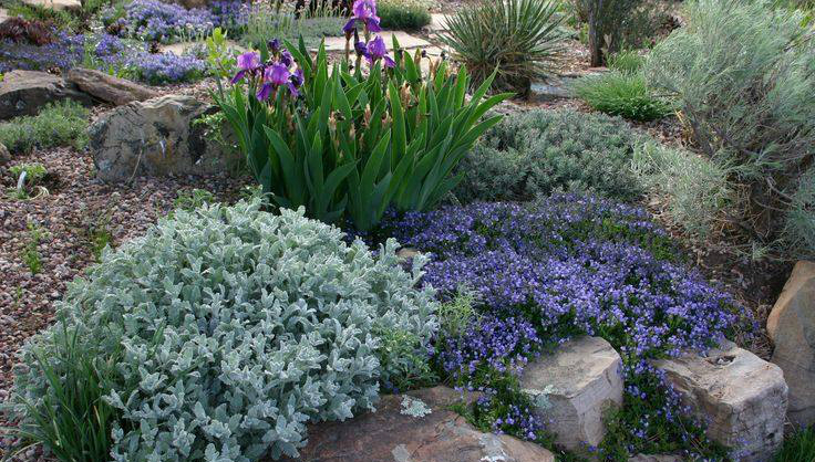 Каменистый сад