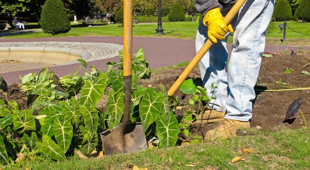 Уход за садом